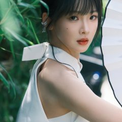 The Dream of the Red Chamber Chinese Movie(2024) photo