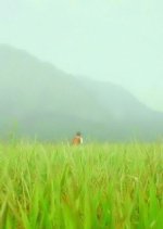 5 Days Above The Cloud Chinese Movie photo