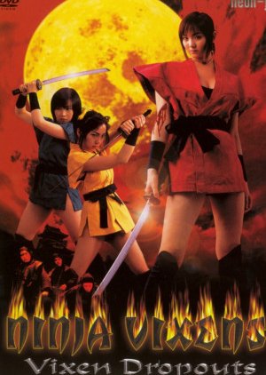 Ninja Vixens: Vixen Dropouts (2006) poster