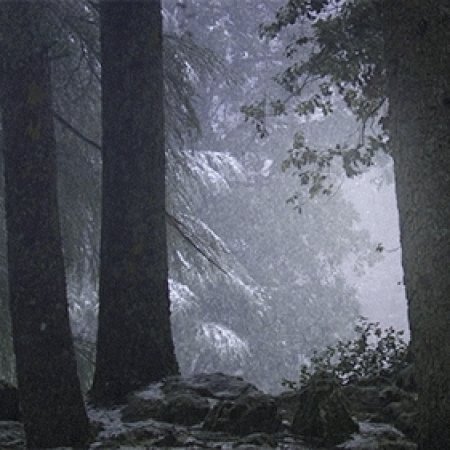 Kamisama no Boto  (2013)