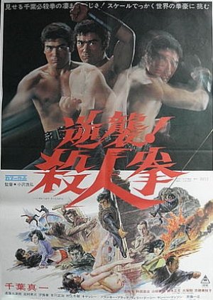 The Street Fighter's Last Revenge (1974) poster