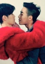 Fly In Shallow Chinese Drama(0000) photo