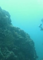 Summer Snow Japanese Drama photo