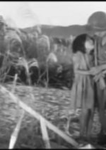 The DMZ Korean Movie(1965) photo