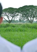 Feel Good To Say Goodbye Thai Movie(2015) photo