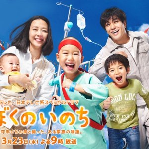 Kamisama no Boto  (2013)