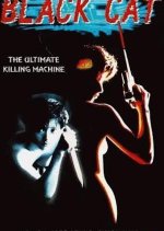 Black Cat
