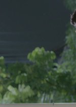 My Bromance Thai Drama photo