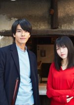 Hannari Girori no Yoriko-san Japanese Drama photo