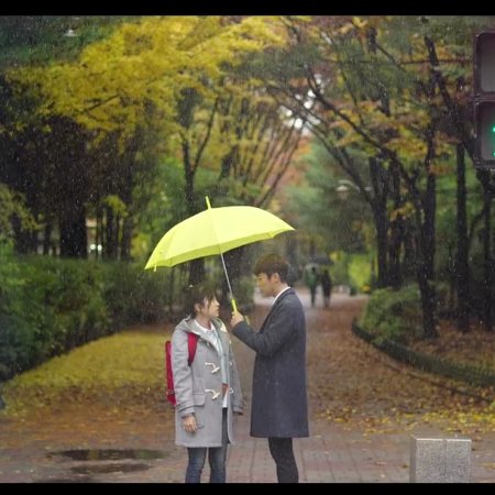 Kamisama no Boto  (2013)