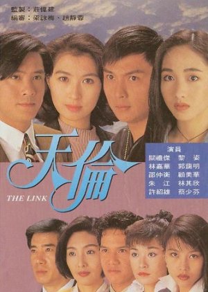 The Link (1993) poster