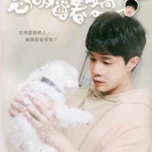 Kamisama no Boto  (2013)