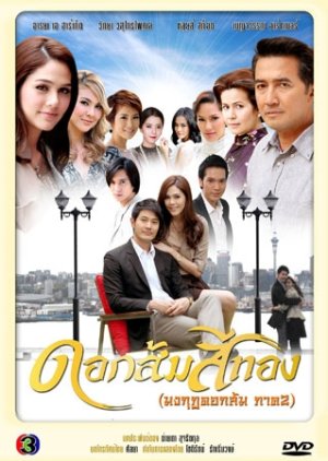 Dok Som See Thong (2011) poster