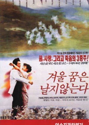 The Winter Dream Does Not Fly (1991) poster