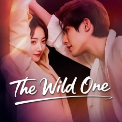 The Wild One Chinese Drama(2025) photo