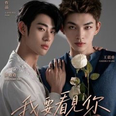 Till I See You Chinese Drama(2026) photo