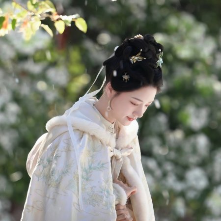 Liang Chen Mei Jin ()