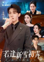 Ruo Feng Xin Xue Chu Ji Chinese Drama(2025) photo