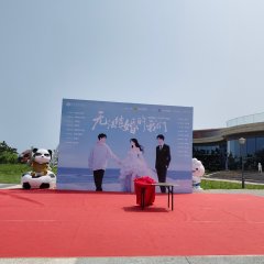 We Cannot Get Married Chinese Drama(2025) photo