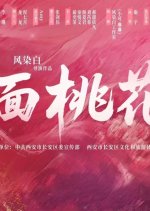 Searching for Love Chinese Drama(2025) photo