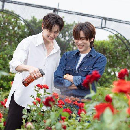 Revamp the Undead Story (2025)