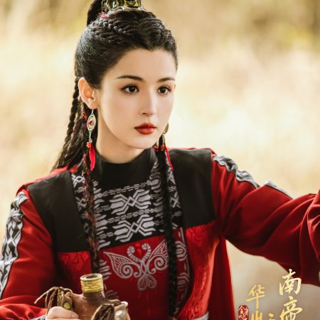 Duel on Mount Hua: Southern Emperor and Northern Beggar (2025)