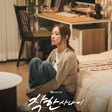 The Nice Guy (2025)