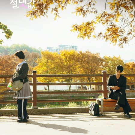 Absolute Value of Romance (2026)