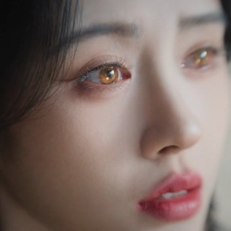 Veil of Shadows (2026)