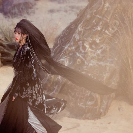 Veil of Shadows (2026)