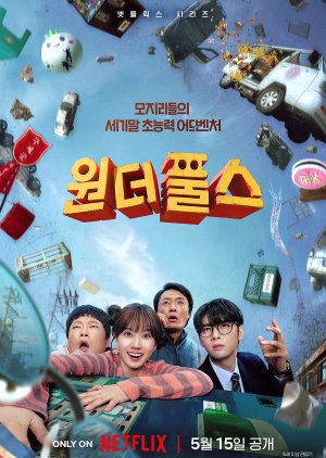 The WONDERfools poster