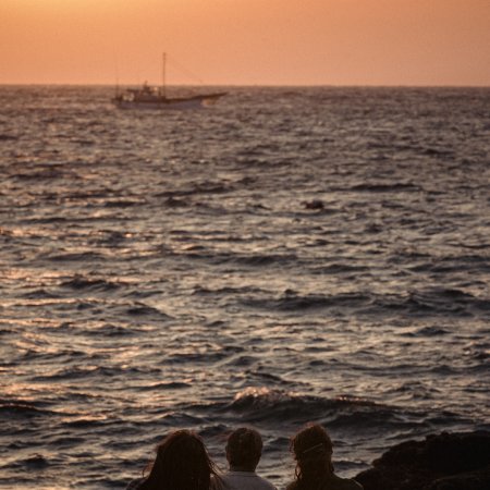 The Sound of Life (2025)