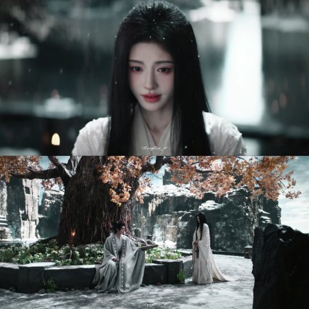 Veil of Shadows (2026)