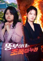 My XXL Wife Is a Mafia Boss Korean Drama(2026) photo