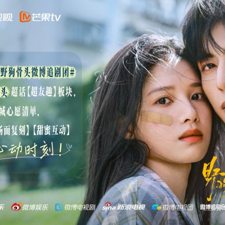 Love for You (2026)