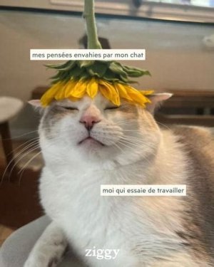 mer