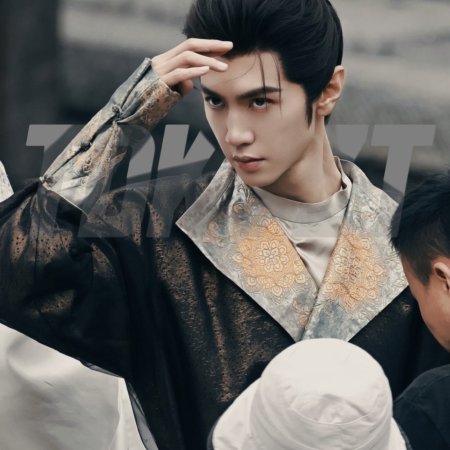 Jiang Shan Wei Pin ()