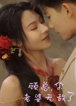 My Invincible Wife Chinese Drama(2025) photo