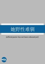 Ta Ye Xing Nan Xun Chinese Drama(0000) photo