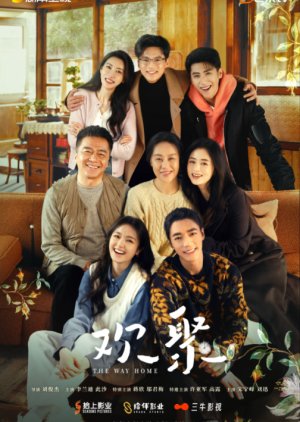 The Way Home (0000) poster