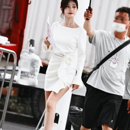 The Vanishing Beauty ()