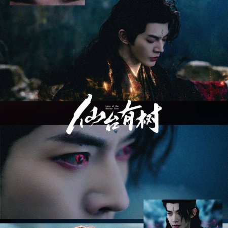Love of the Divine Tree (2025)