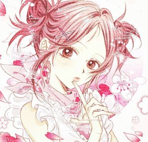 kittysflowers