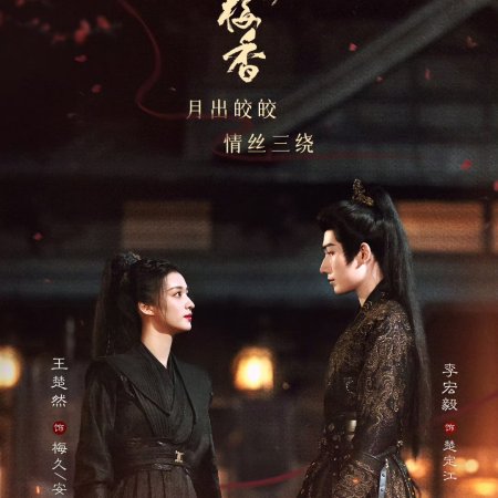 Hidden Shadow (2025)
