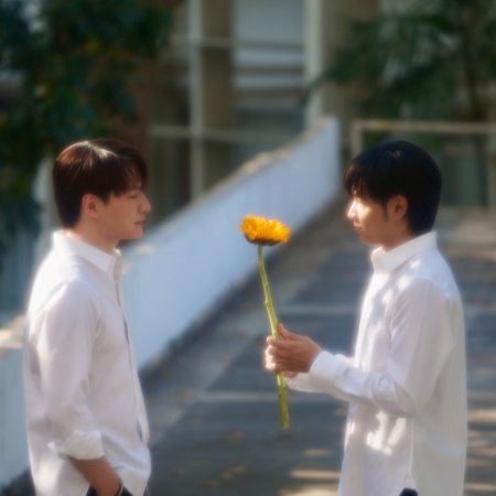 The Ex-Morning (2025)
