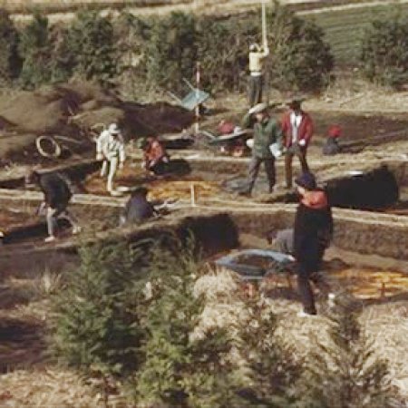 Shadow of Deception (1971)