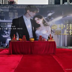 Fall in Love with You Chinese Drama(0000) photo