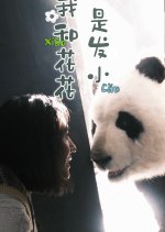 Wo He Hua Hua Shi Fa Xiao Chinese Drama photo