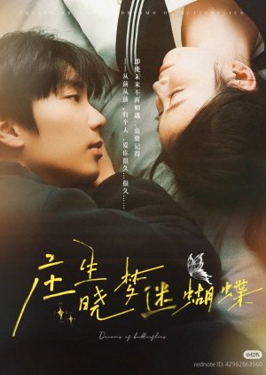 Dreams of Butterflies poster