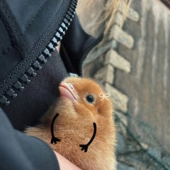 Be Myself Chinese TV Program(2025) photo